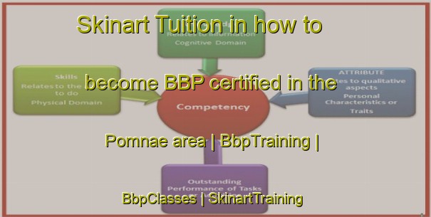 Skinart Tuition in how to become BBP certified in the Pomnae area | BbpTraining | BbpClasses | SkinartTraining-Republic of Korea